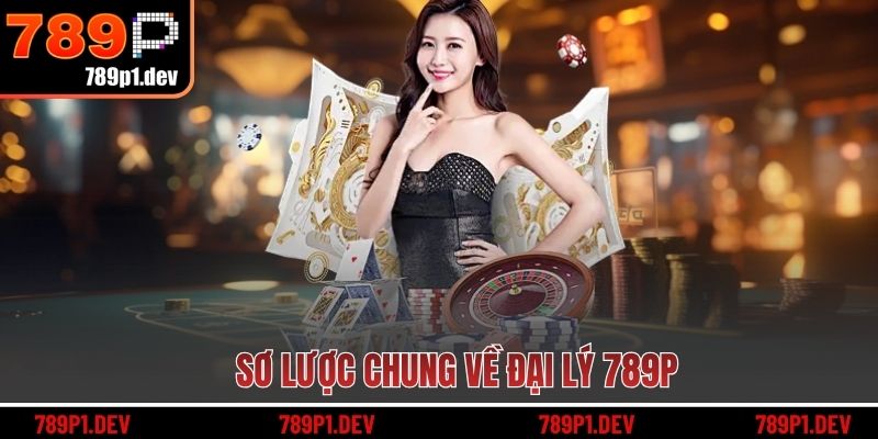 Sơ lược chung về đại lý 789P